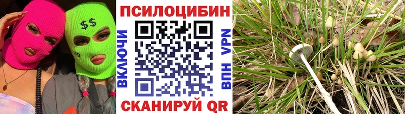 Галлюциногенные грибы прущие грибы  blacksprut ТОР  Пудож 